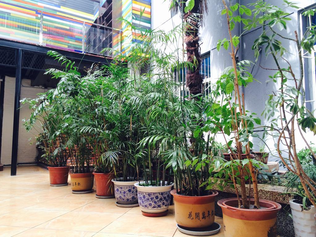 Xi'An Rainbow Youth Hotel المظهر الخارجي الصورة